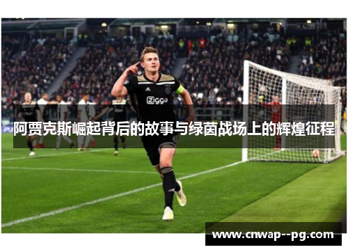 阿贾克斯崛起背后的故事与绿茵战场上的辉煌征程