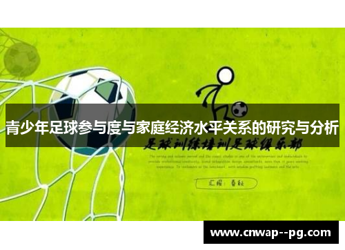 青少年足球参与度与家庭经济水平关系的研究与分析