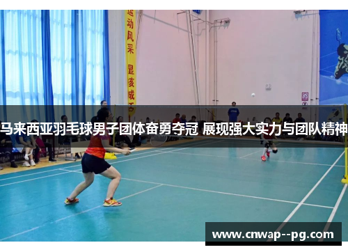 马来西亚羽毛球男子团体奋勇夺冠 展现强大实力与团队精神