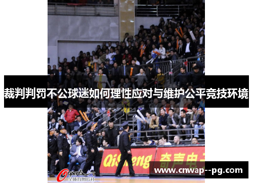 裁判判罚不公球迷如何理性应对与维护公平竞技环境