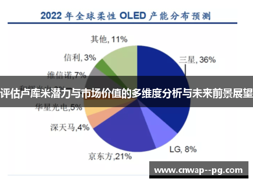 评估卢库米潜力与市场价值的多维度分析与未来前景展望