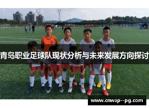 青岛职业足球队现状分析与未来发展方向探讨