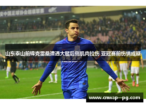 山东泰山前锋克雷桑遭遇大腿后侧肌肉拉伤 亚冠赛前伤情成疑
