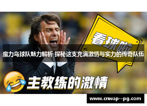 魔力鸟球队魅力解析 探秘这支充满激情与实力的传奇队伍